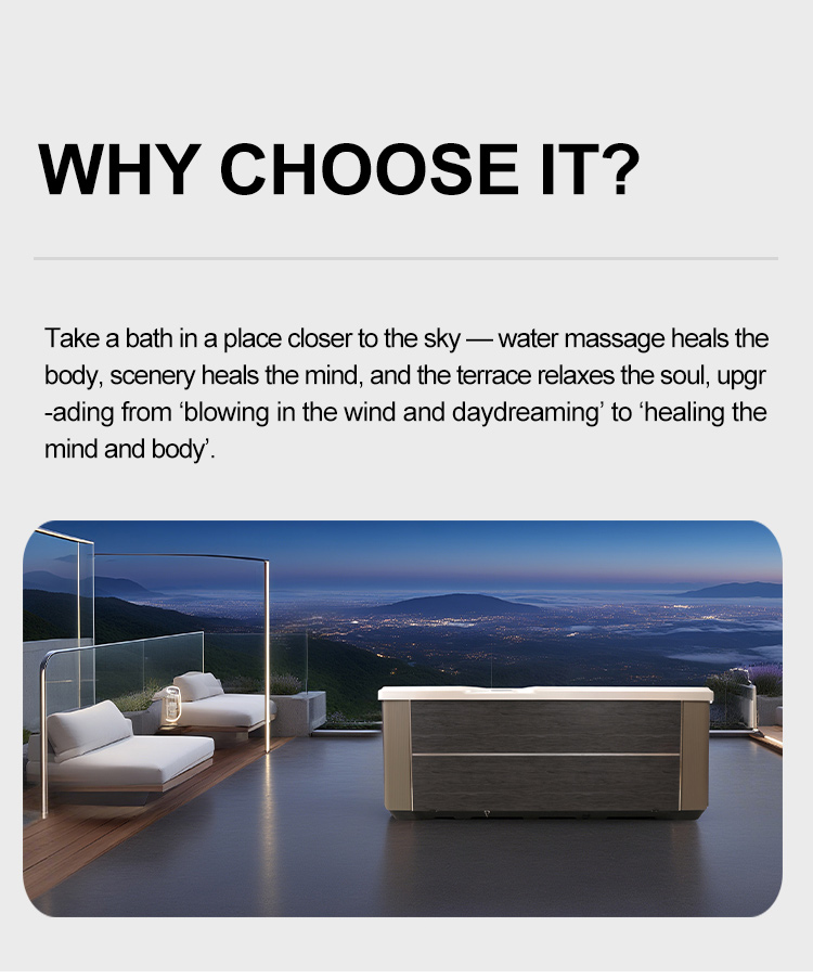 8803英文详情_03 8803英文详情_03