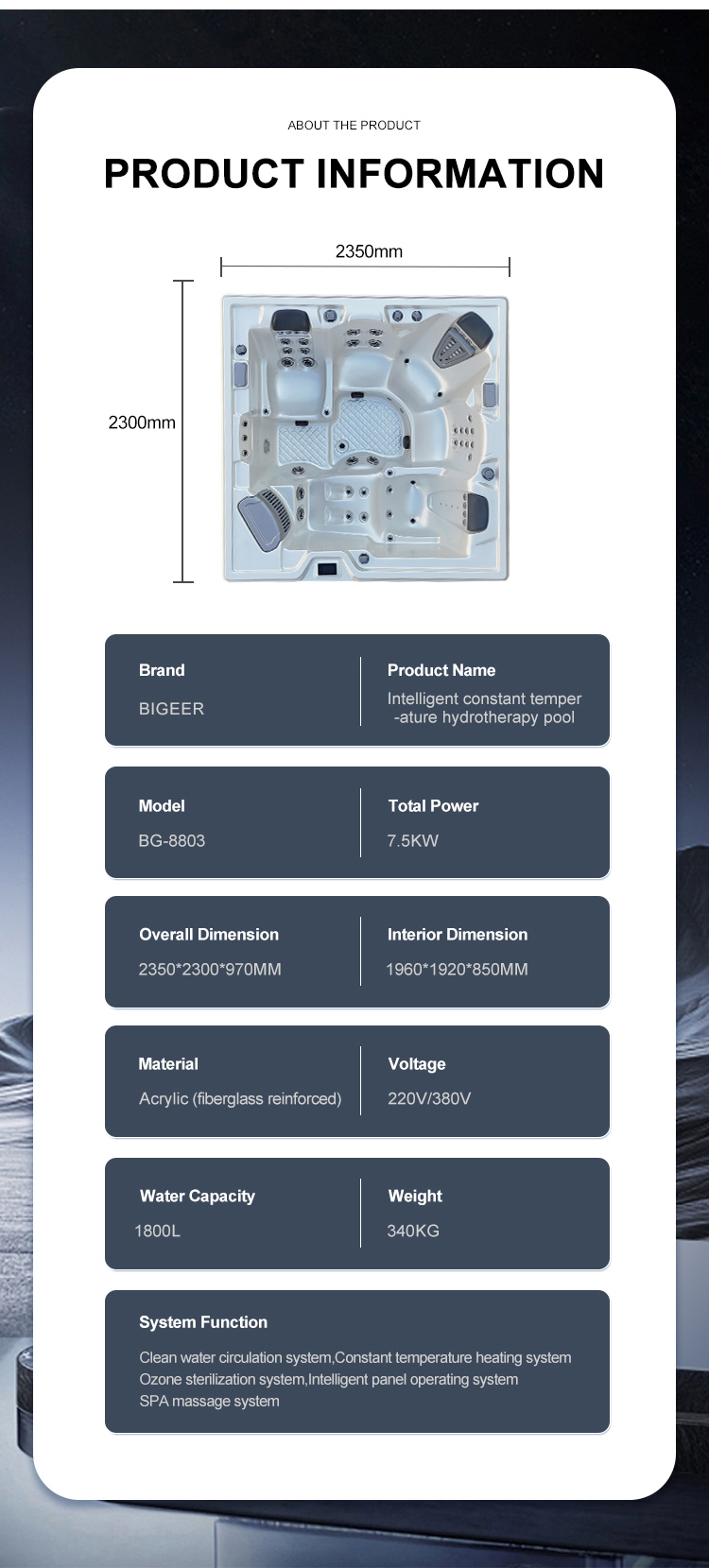 8803英文详情_11 8803英文详情_11