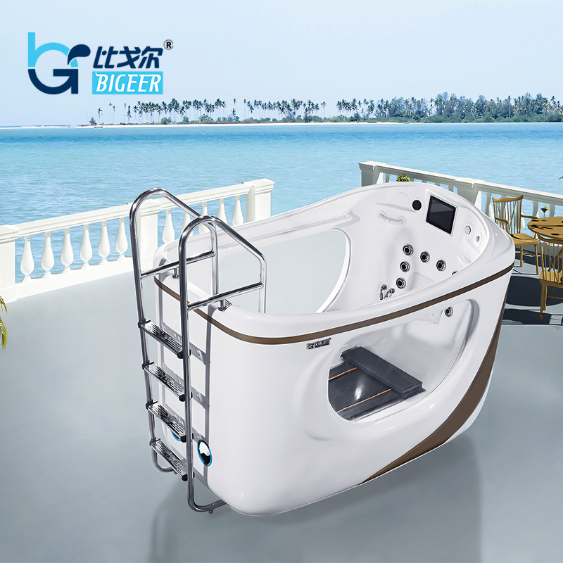 BG-9961 Climb up underwater treadmill