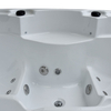 BG-8832 Luxury Multi-Person SPA Hot Tub | Classic Series Bestseller for Residential & Commercial Use