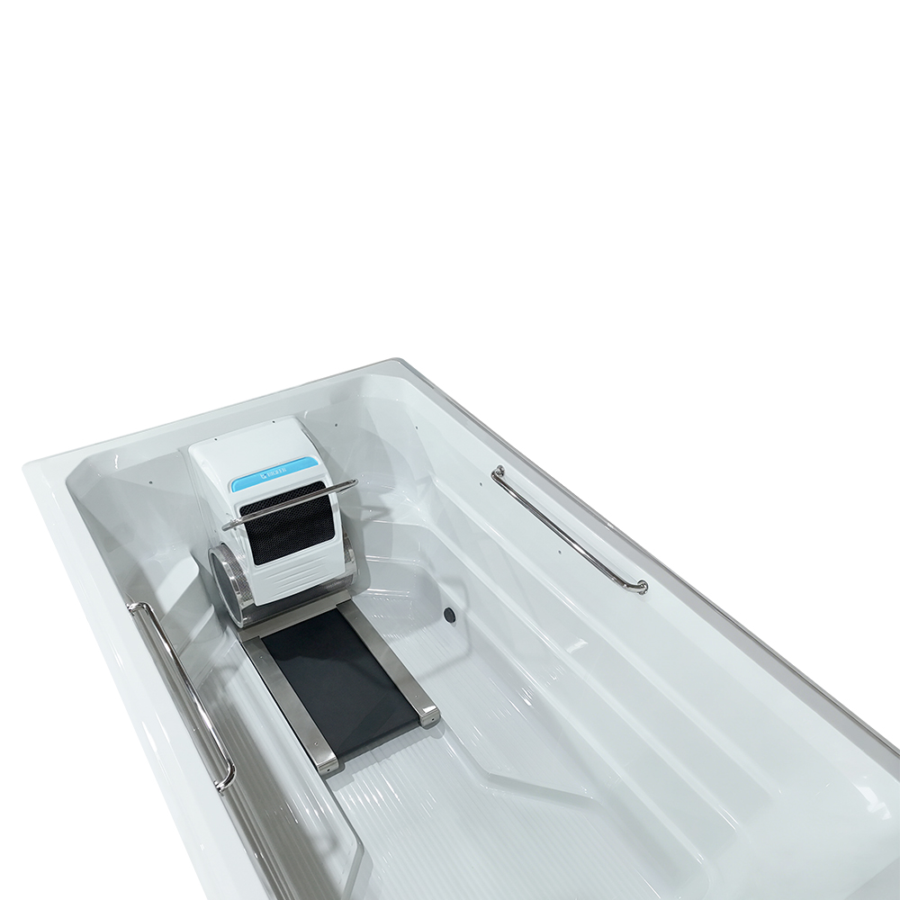 BG-6659 Luxury Large Swimming Spa Pool with Counter Currents Acrylic Whirlpool Swim Spa